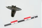 Foto von Bronzehelmniet (NHMW-PRAE-024439)